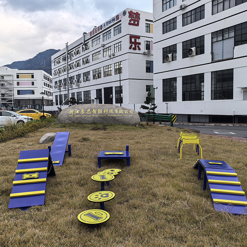 Pet Exercise PE Plate Dog Training Equipment